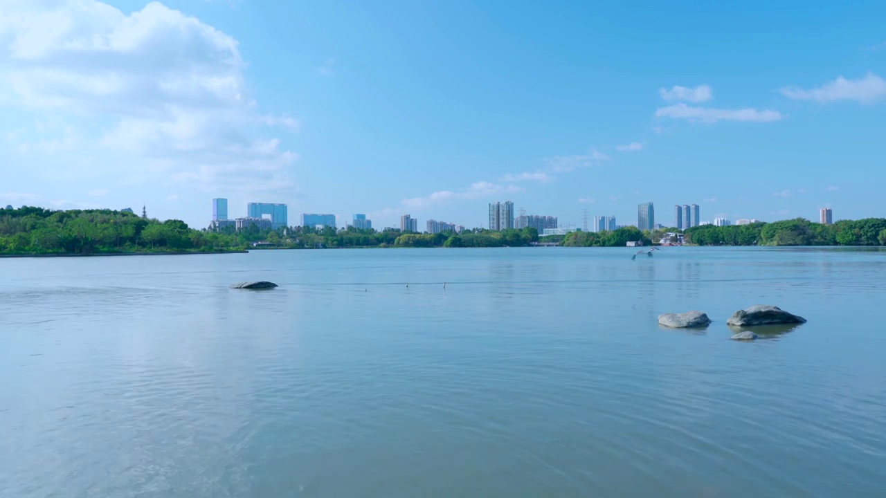 广州海珠湖公湖泊树林与城市高楼建筑景观视频素材