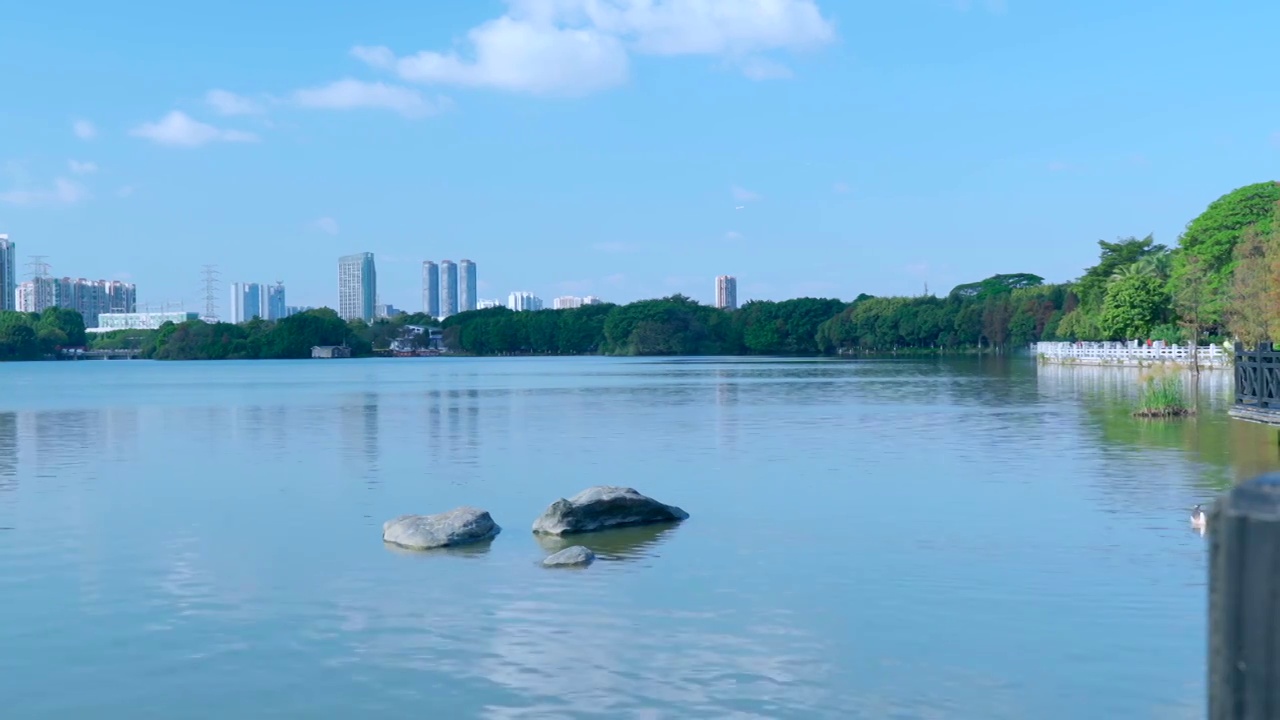 广州海珠湖公湖泊树林与城市高楼建筑景观视频素材