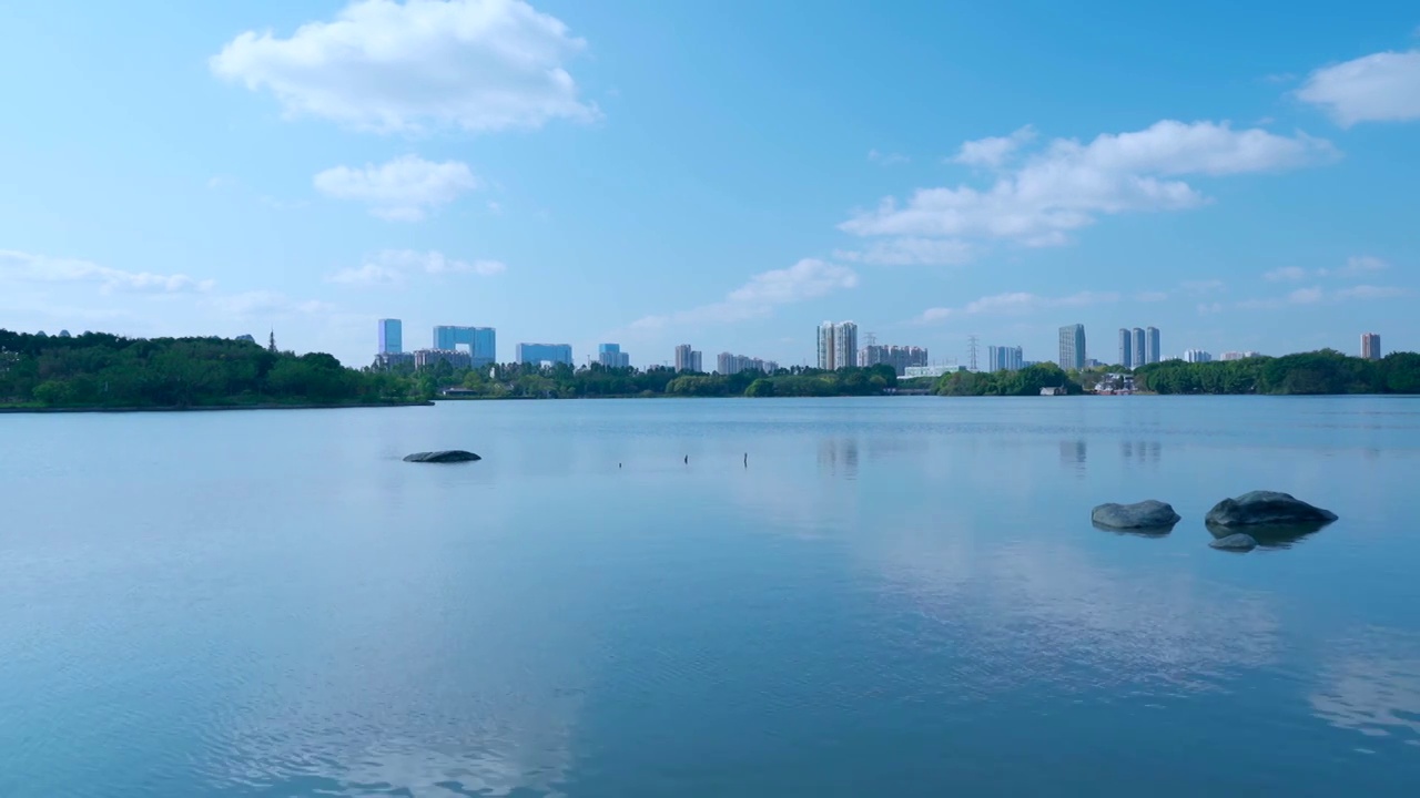 广州海珠湖公湖泊树林与城市高楼建筑景观视频素材