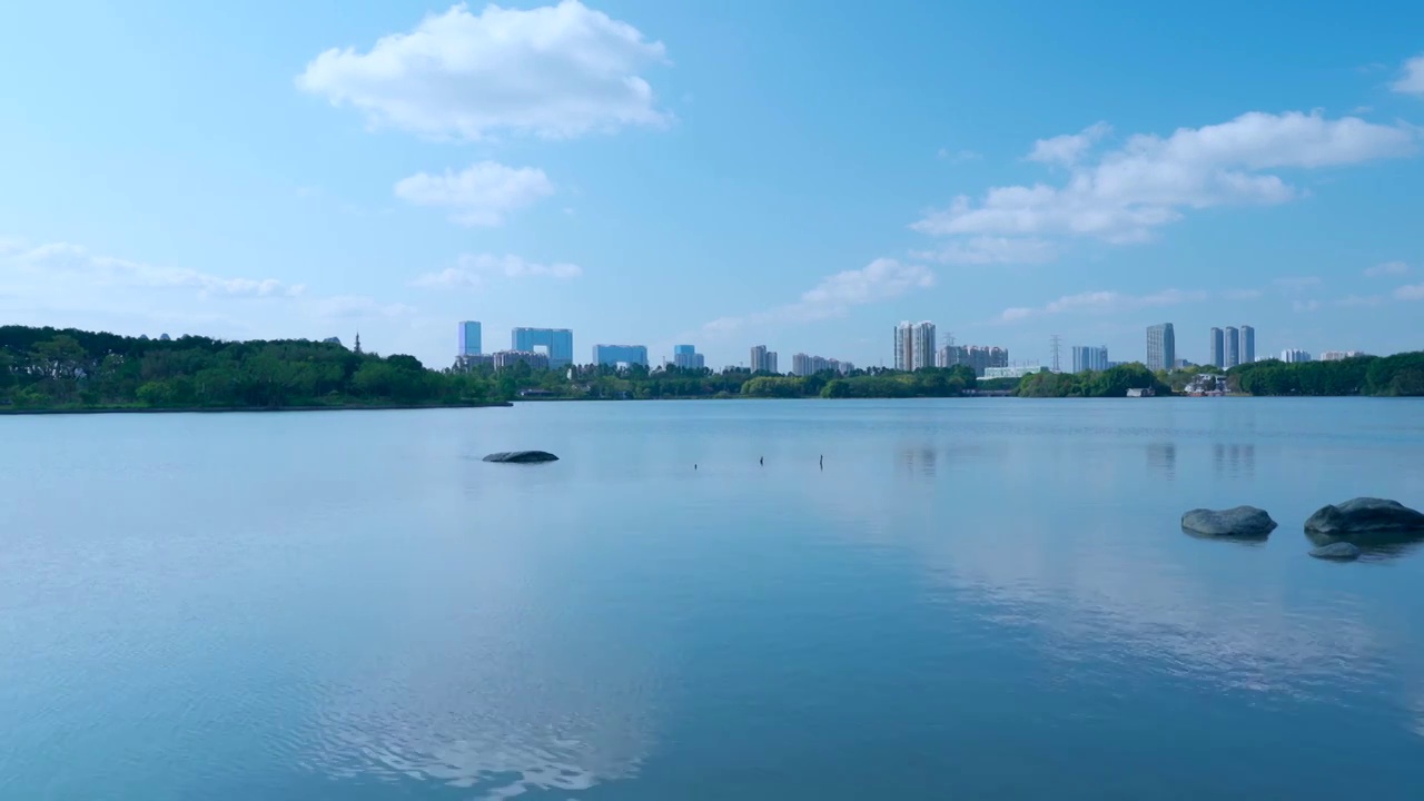 广州海珠湖公湖泊树林与城市高楼建筑景观视频素材