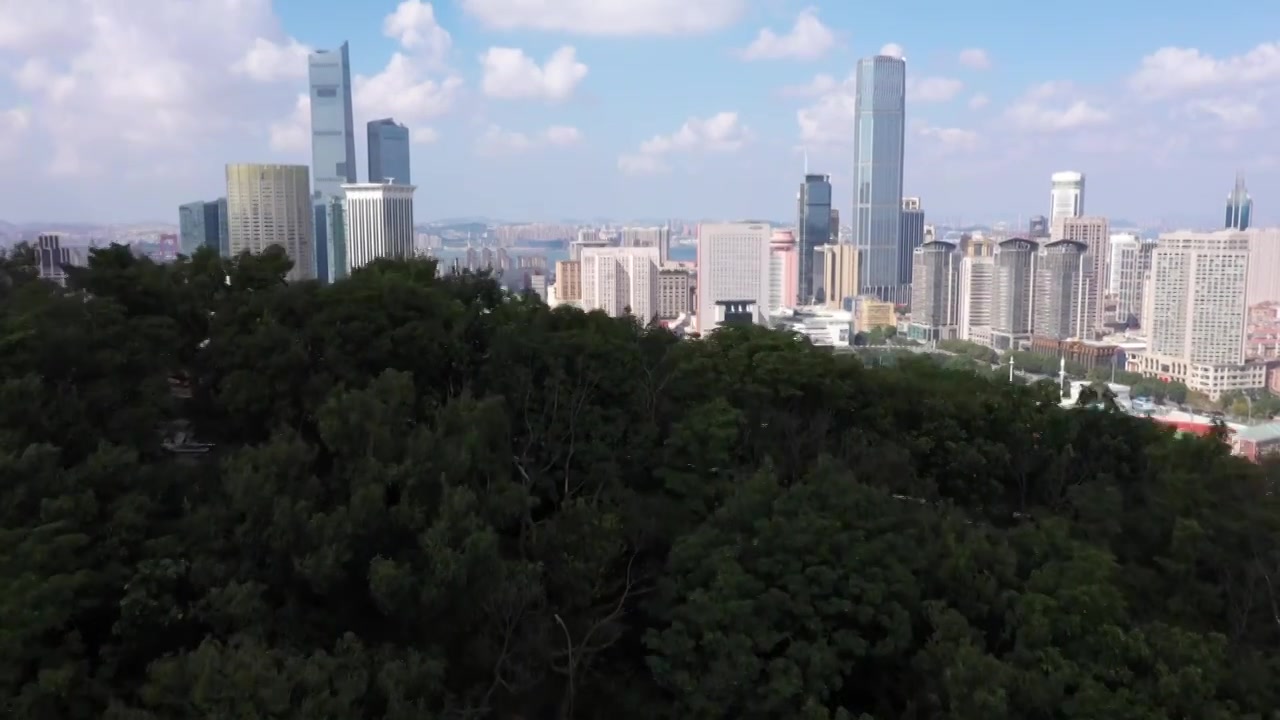 大连城市航拍中山区开篇大景视频素材