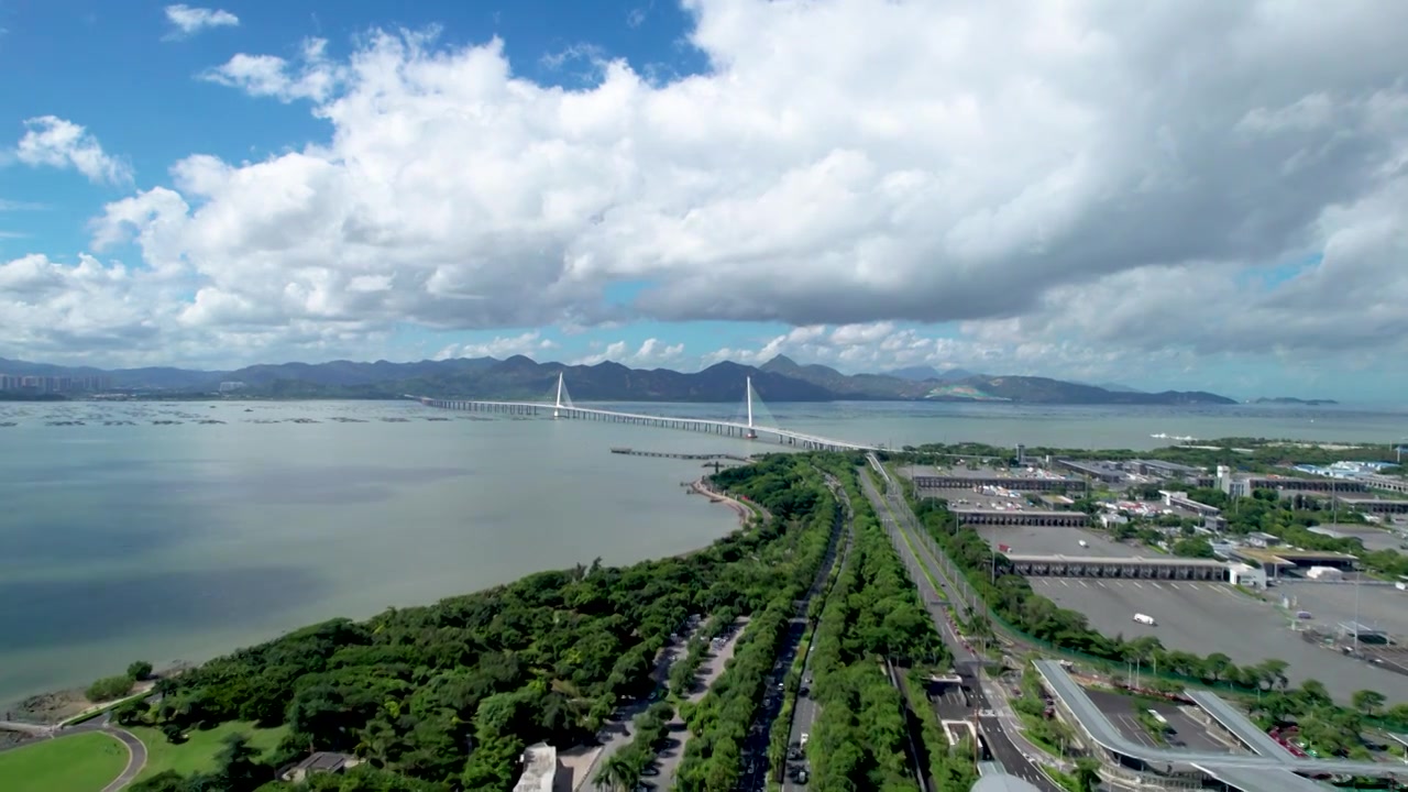 原创深圳湾绿色环保大景航拍直推空镜视频素材