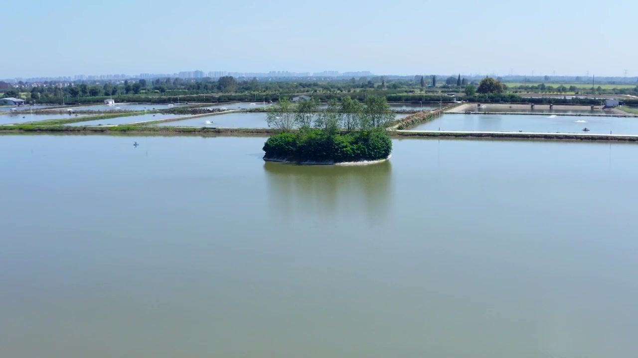 渔业基地鱼场鱼塘4k航拍视频素材