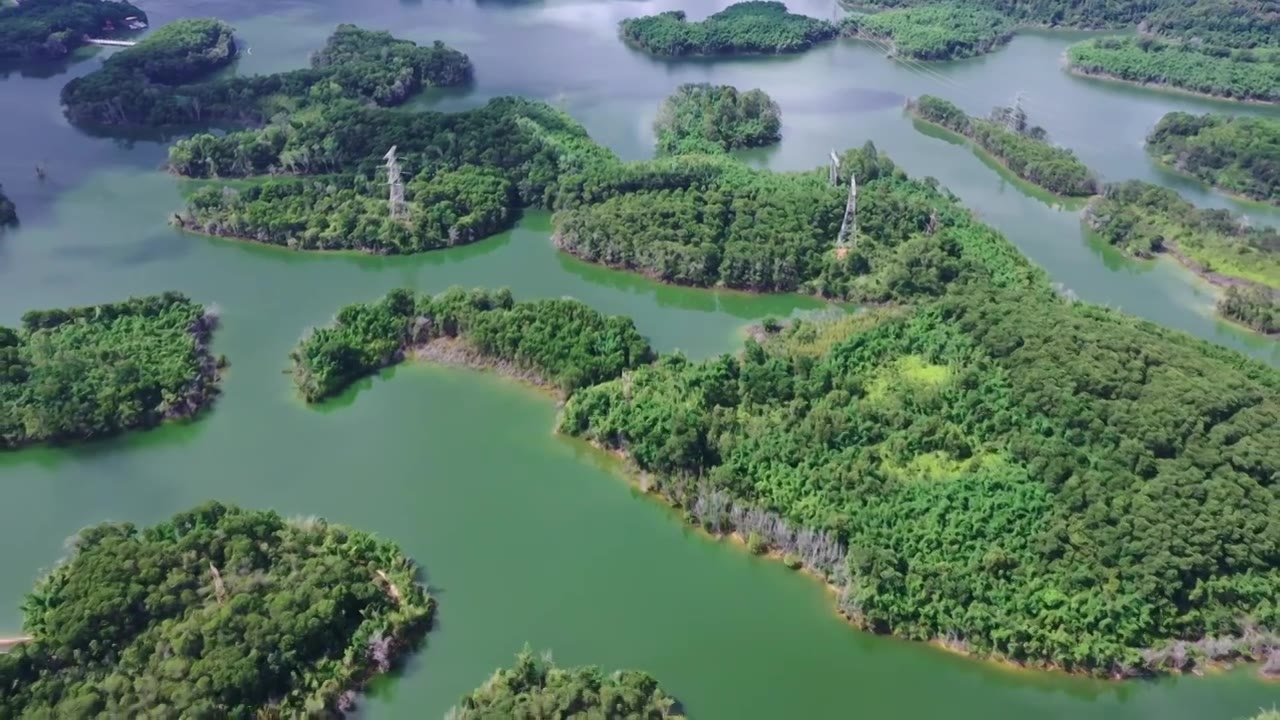 【正版素材】深圳龙华西坑水库视频素材