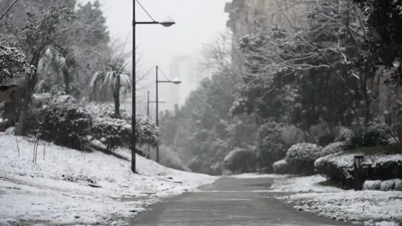 下雪升格慢动作雪花视频下载