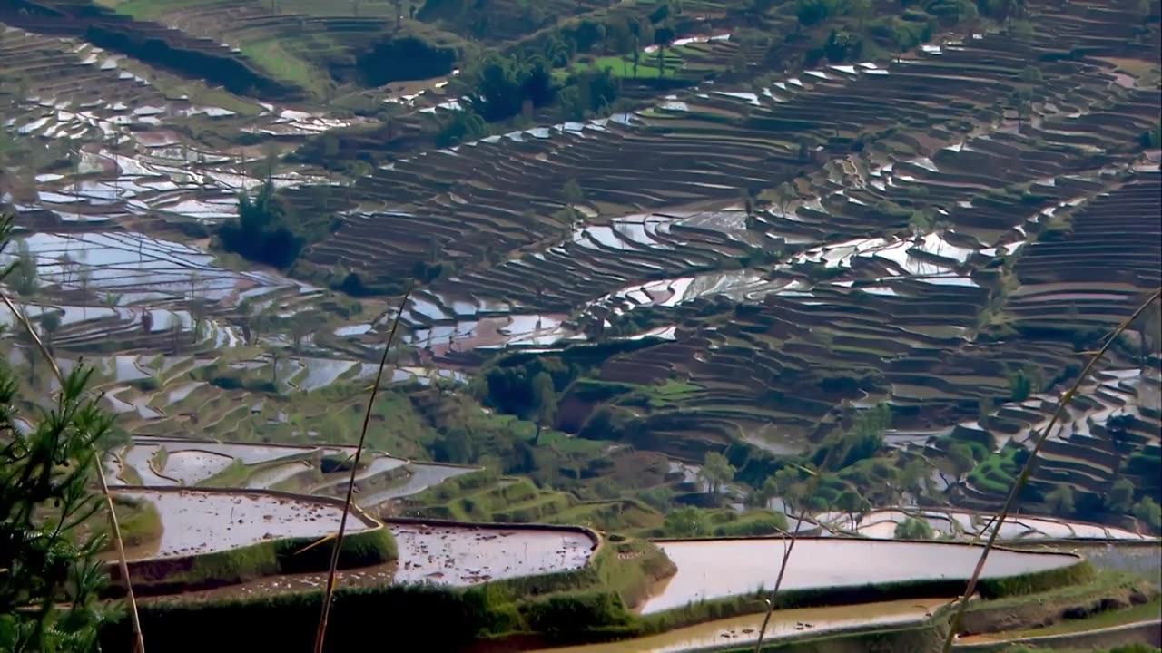 梯田,云雾,贵州云南元阳梯田,哈尼梯田,云海延时,风光摄影,乡村田野,清晨,晨雾,自然风光,水墨画,山水田园,农田,农业,春耕,红河州,种植业,哈尼族,延时视频下载