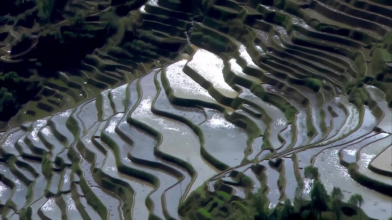 梯田,云雾,贵州云南元阳梯田,哈尼梯田,云海延时,风光摄影,乡村田野,清晨,晨雾,自然风光,水墨画,山水田园,农田,农业,春耕,红河州,种植业,哈尼族,延时视频素材