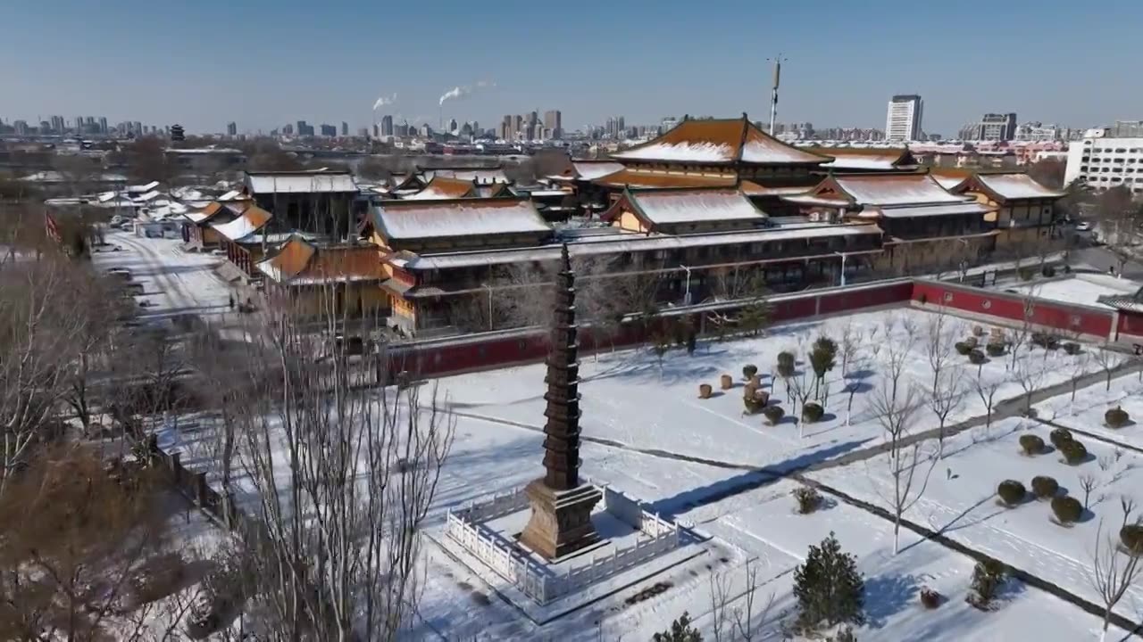 雪后的聊城铁塔与护国隆兴寺+山东省聊城市东昌府区东昌湖风景区视频素材