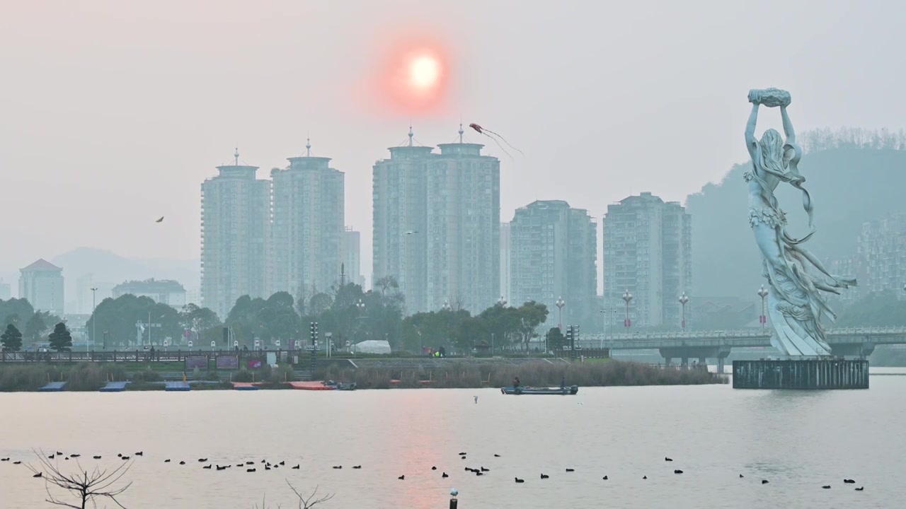 夕阳下的城市公园湖面候鸟飞翔视频素材