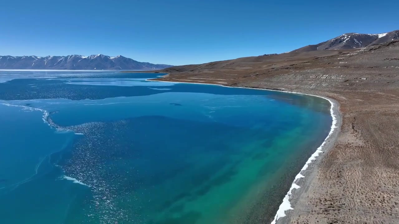 航拍圣湖当惹雍错高原湖泊牧场风光视频素材