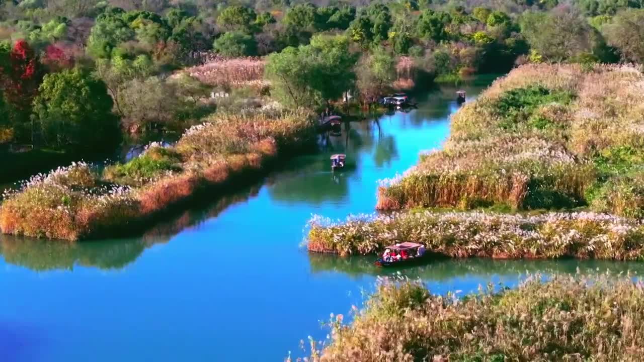 航拍浙江杭州西溪湿地秋天视频素材