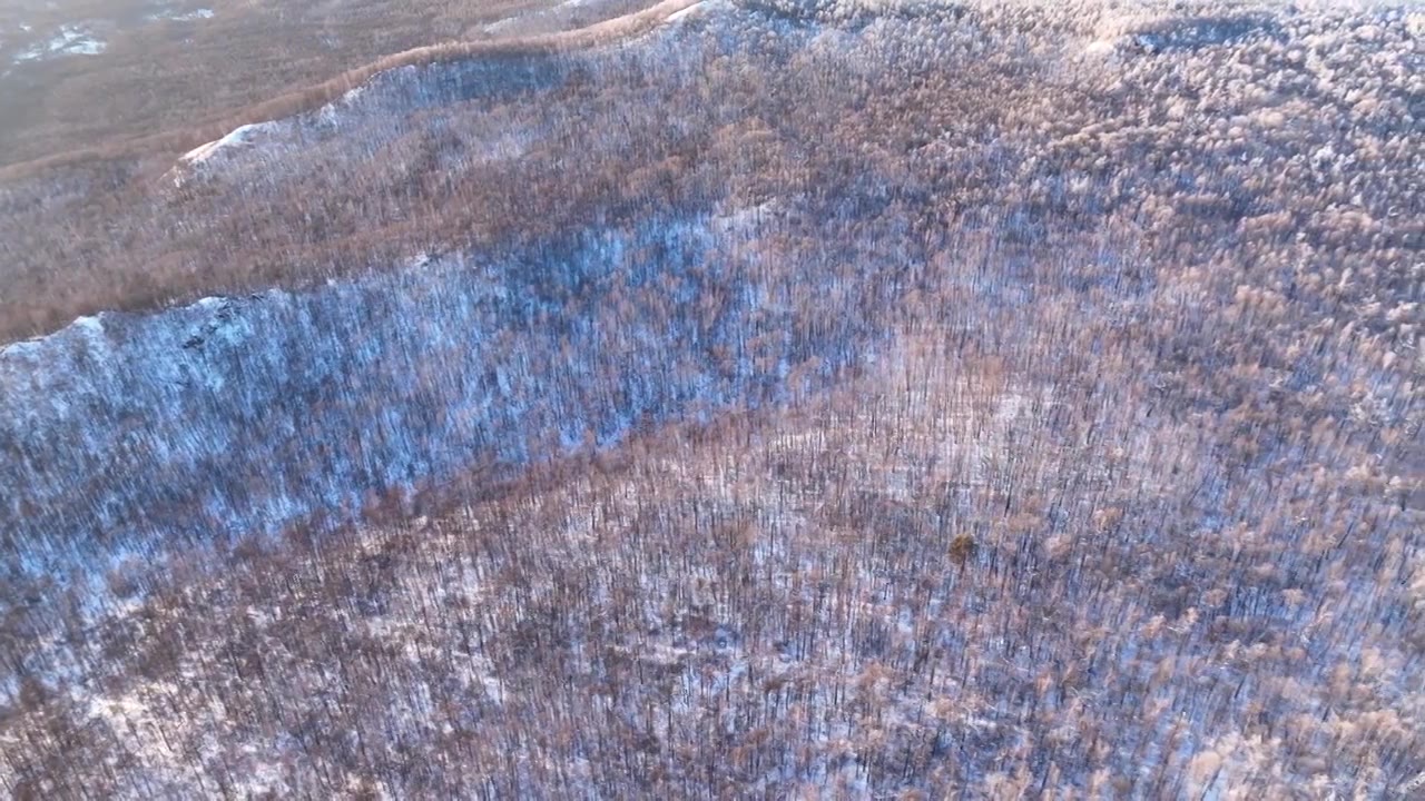 大兴安岭冬季林海雪原风光视频素材