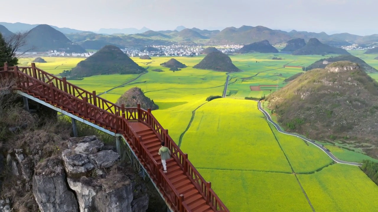 春天云南曲靖罗平油菜花观景台金鸡峰丛视频素材