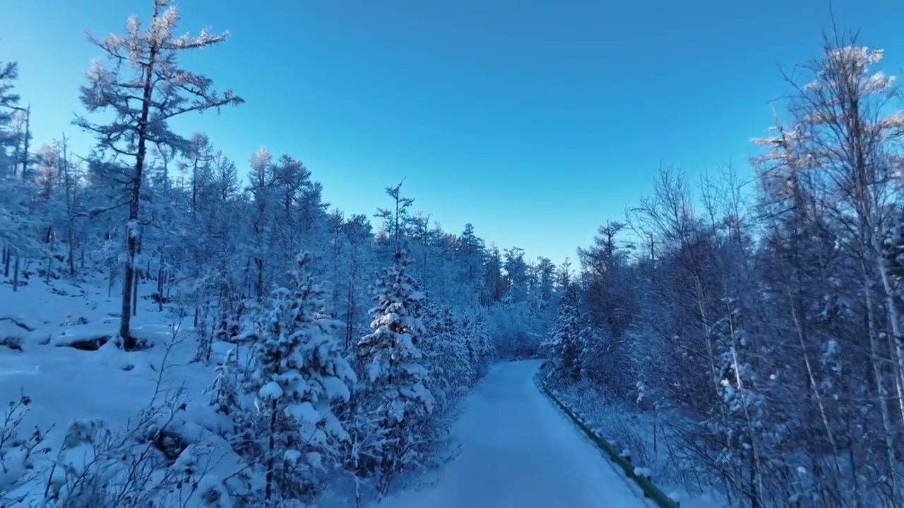 林海雪原雪林和山路视频素材