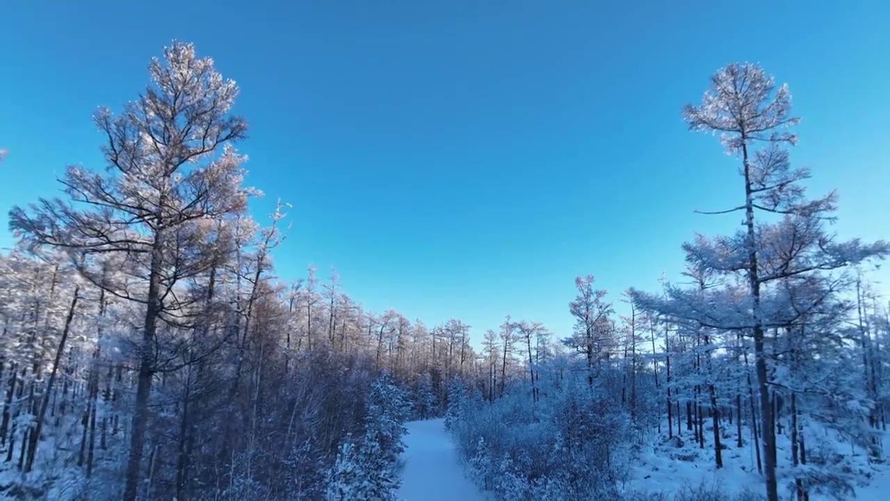 林海雪原雪林和山路视频素材