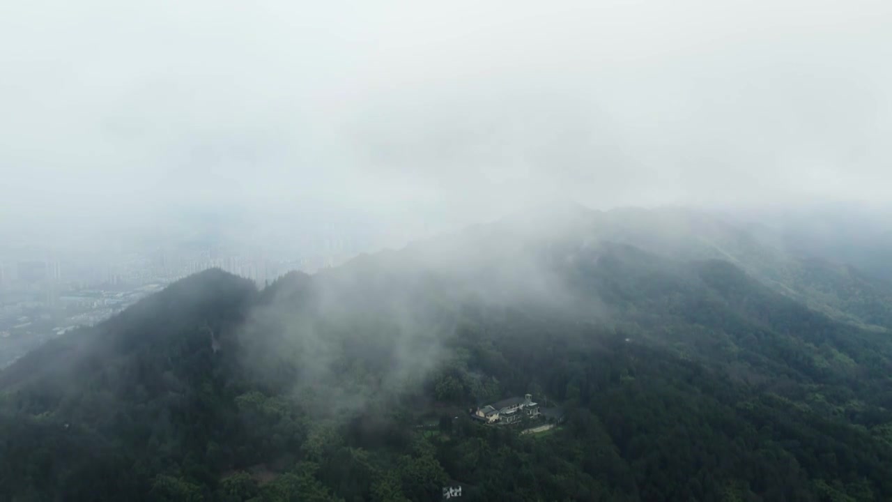 航拍高新区大学城森林风景视频素材