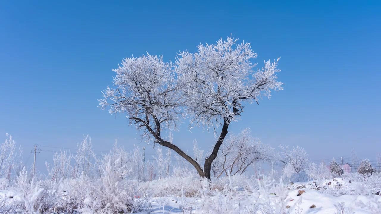 冬天雾凇冰雪融化延时视频素材