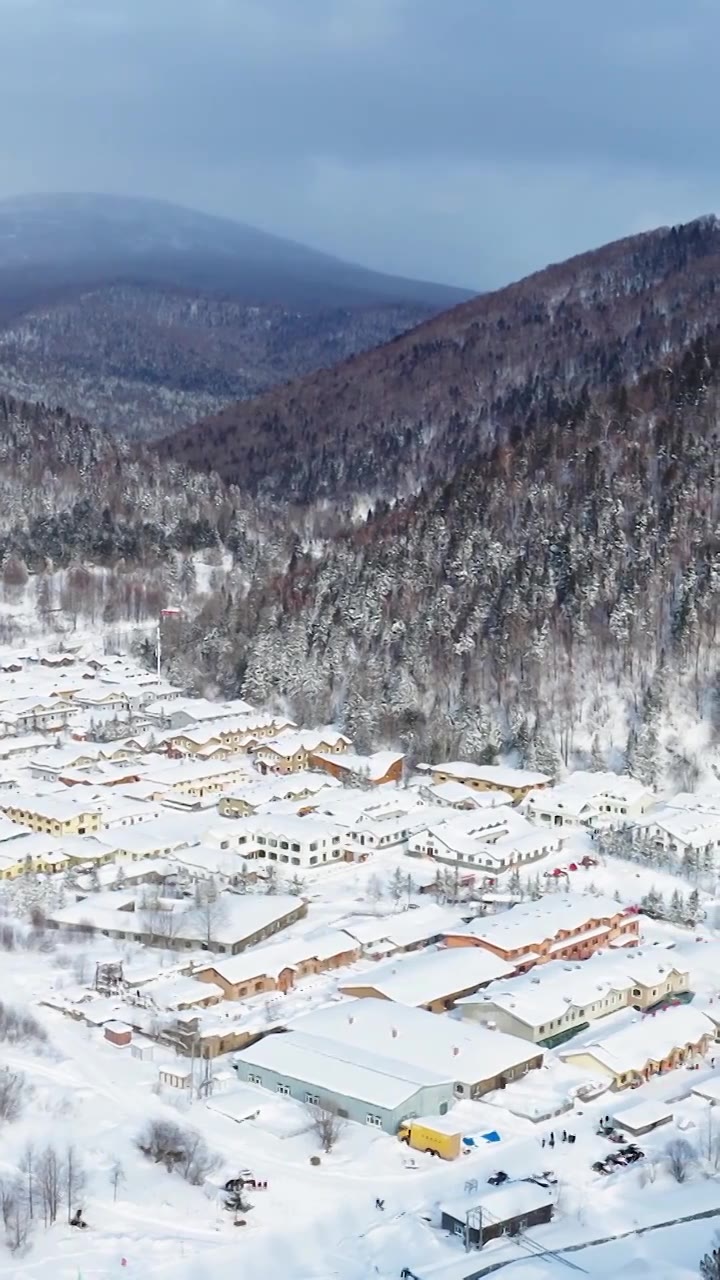 积雪覆盖的村庄，中国雪乡的航拍视角，雪乡的木屋与雪景视频素材