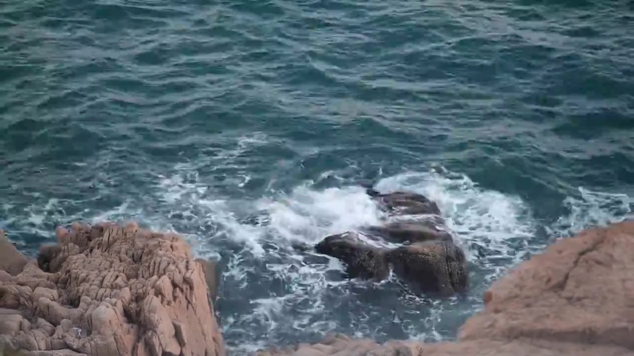 青岛海边礁石海浪视频素材