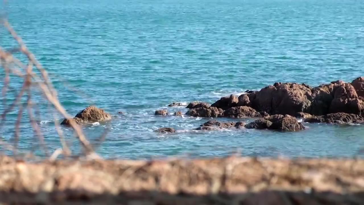 青岛海边海浪礁石视频素材