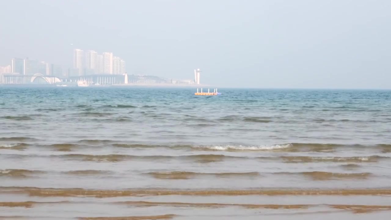 青岛海边海浪浪花海鸥视频素材