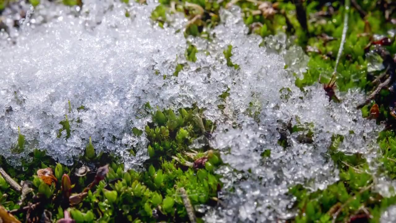 春天冰雪消融延时视频素材