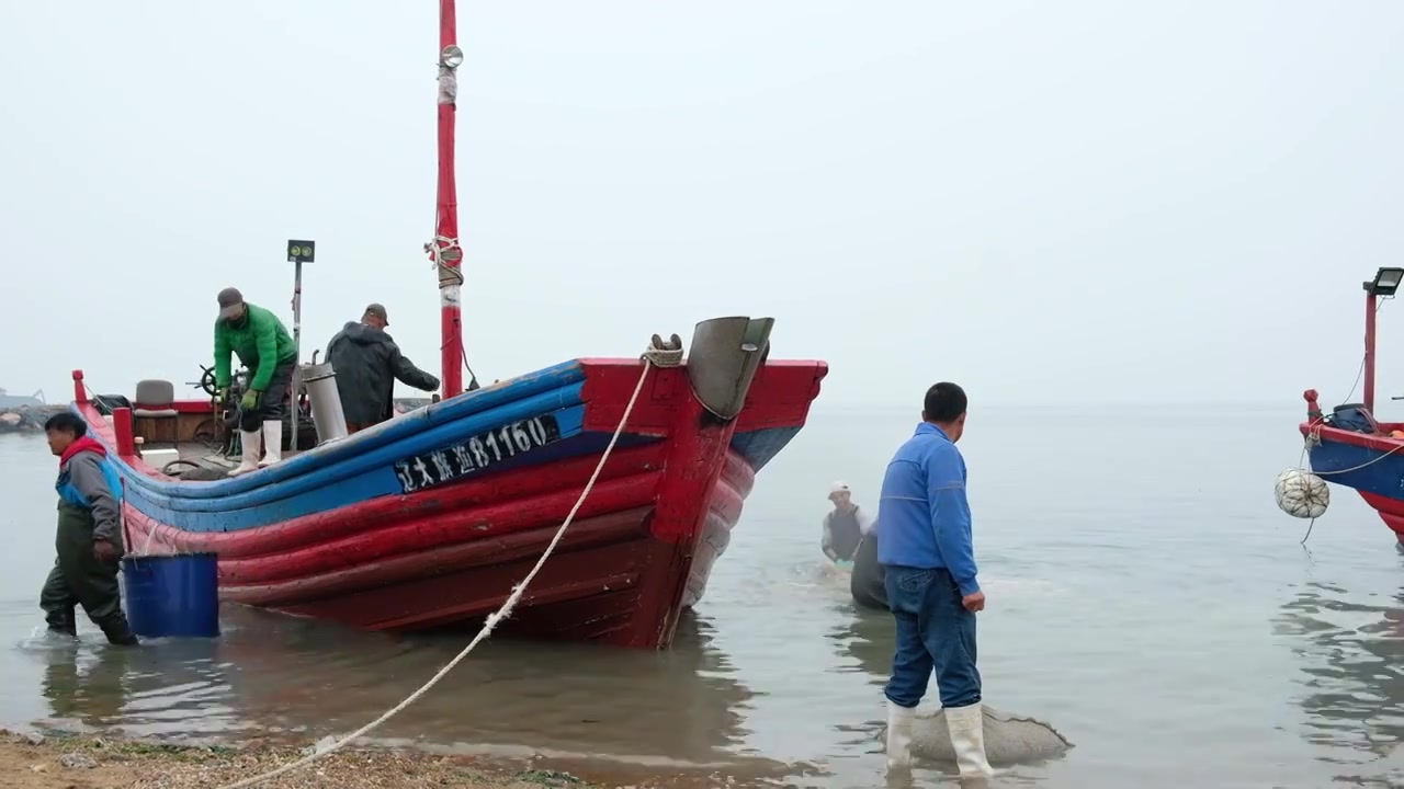 渔船出海出海打鱼打渔归来视频素材