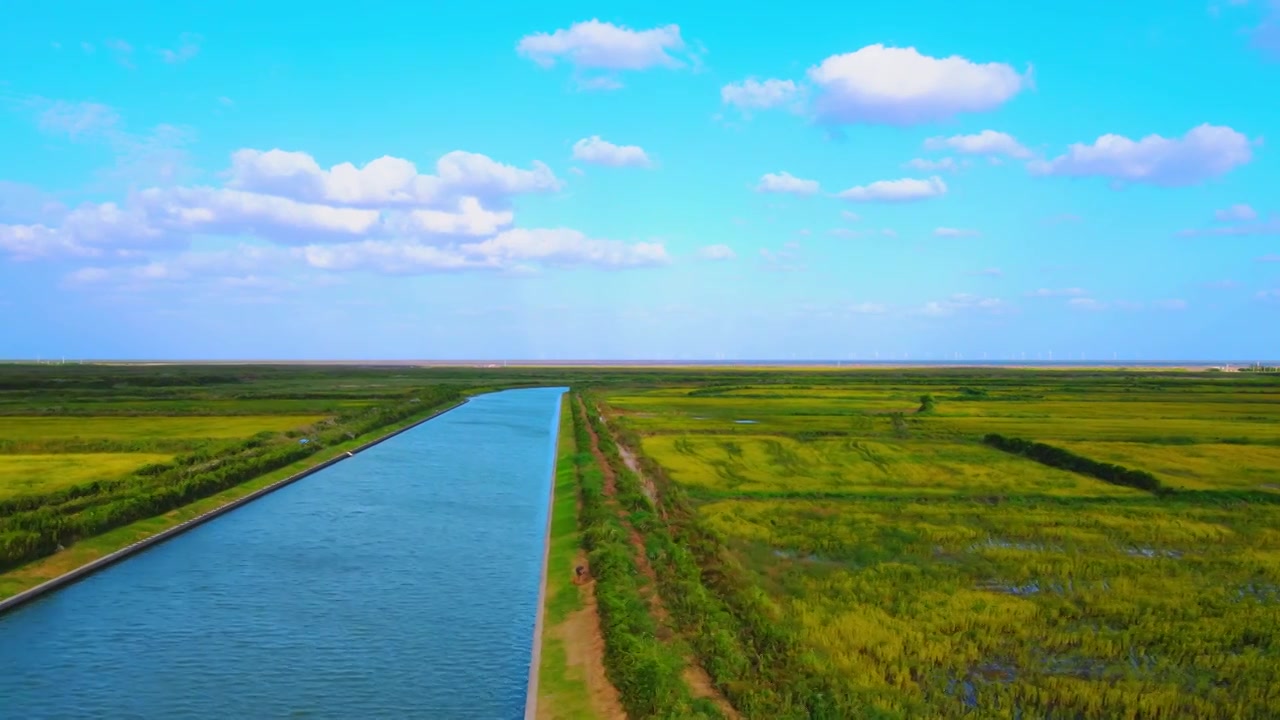 上海滴水湖南汇嘴观海公园草地全景航拍视频素材