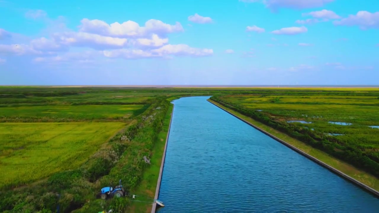 上海滴水湖南汇嘴观海公园草地全景航拍视频素材