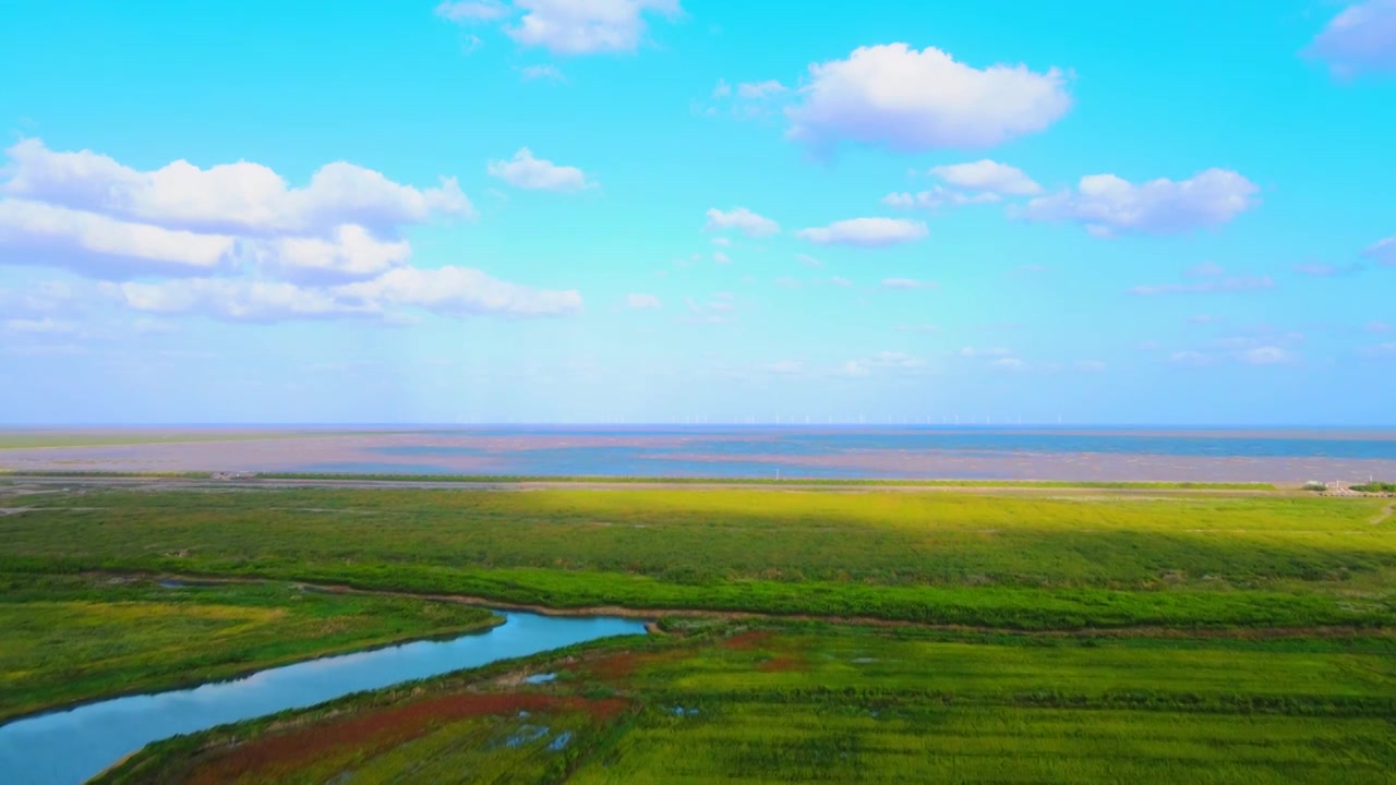 上海滴水湖南汇嘴观海公园草地全景航拍视频素材