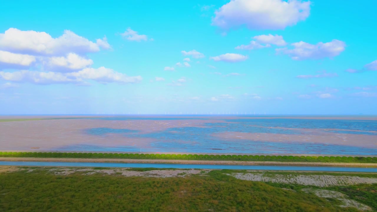 上海滴水湖南汇嘴观海公园草地全景航拍视频素材