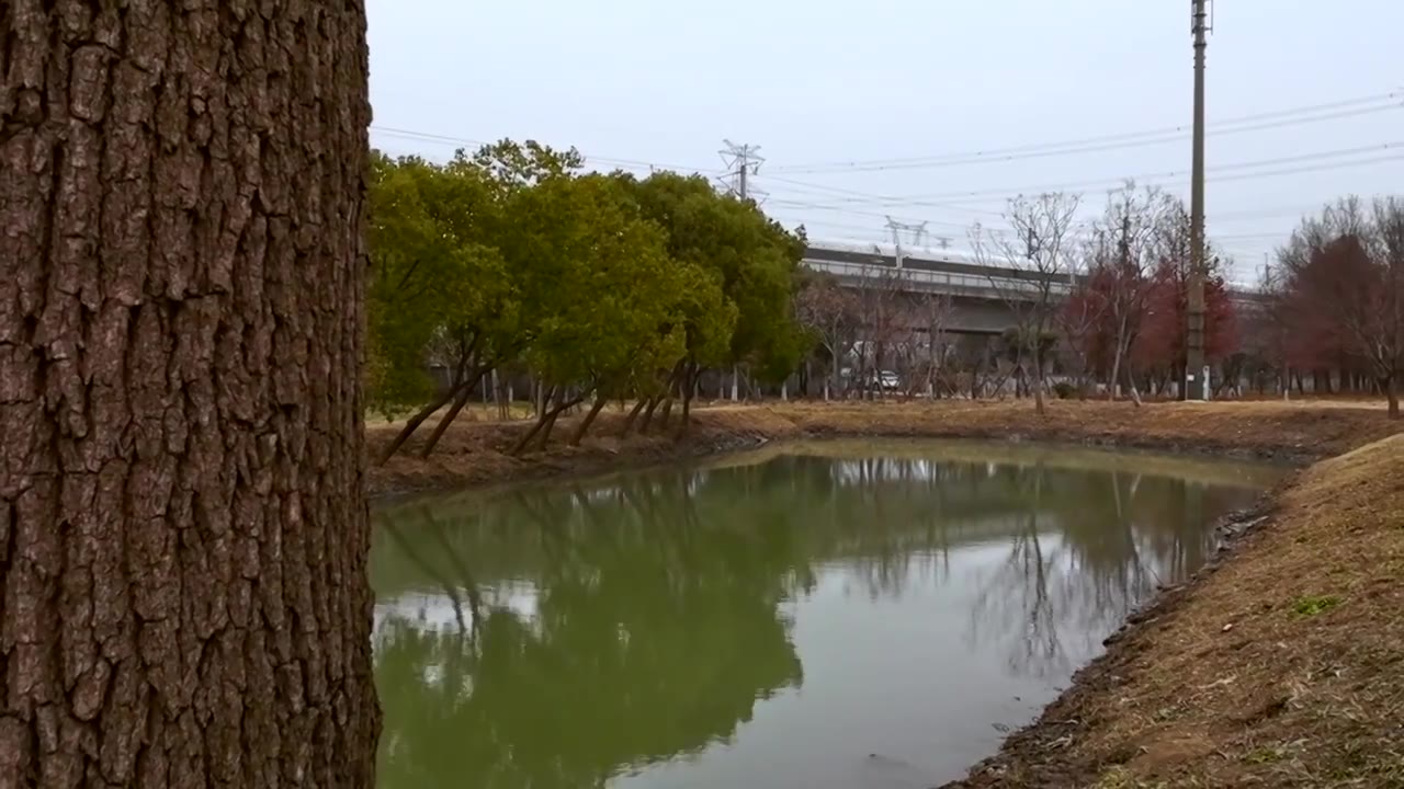 高铁沪杭视频素材