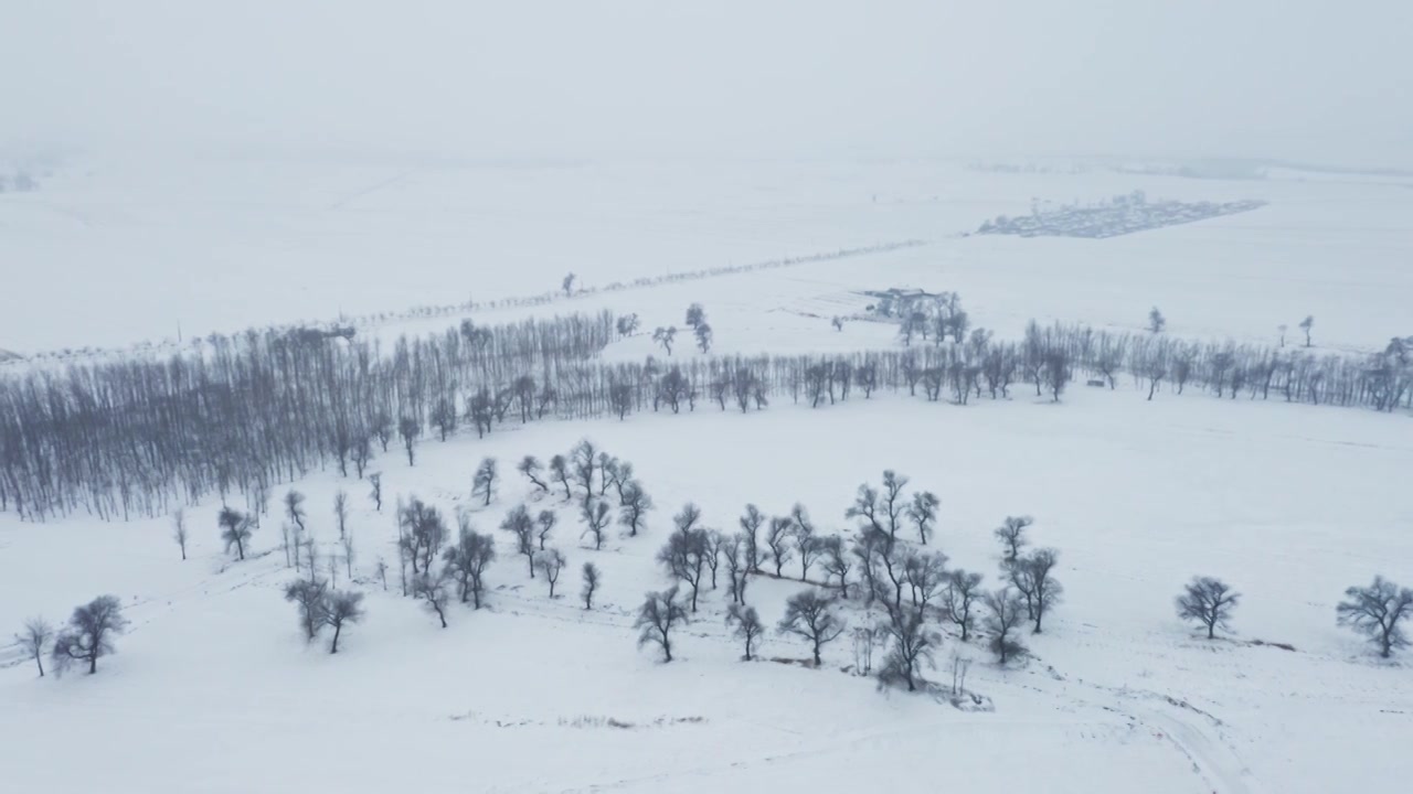 东北的冬天，冬日田野的雪景，广阔地形的雪景，东北冬天的童话世界视频素材