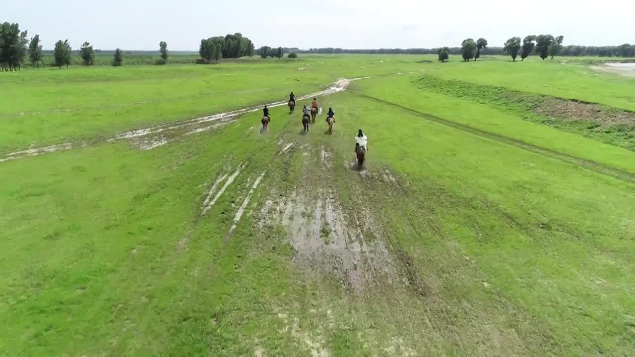 草原骑马视频下载