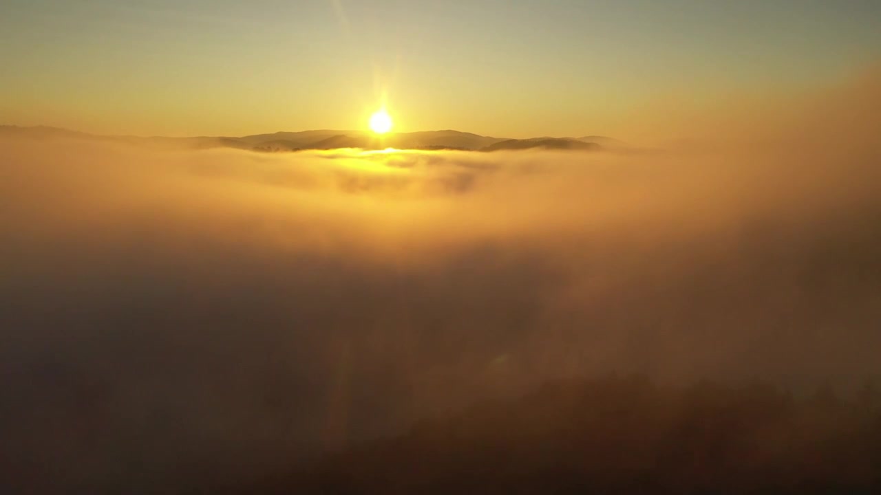 4K太阳日出光线云海云雾高山森林航拍希望视频下载