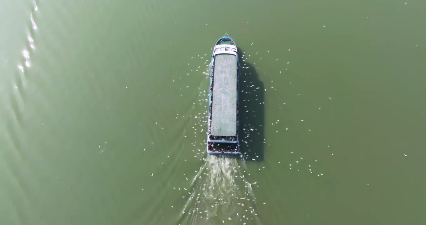 江苏省无锡市太湖鼋头渚风景区游客乘坐邮轮风光视频素材