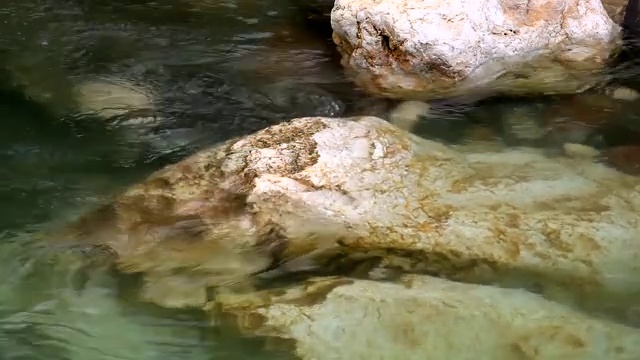 流动的溪水视频素材