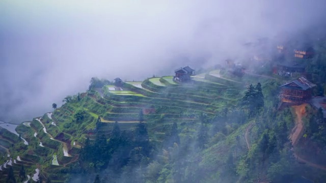 龙脊梯田美景（延时）视频素材