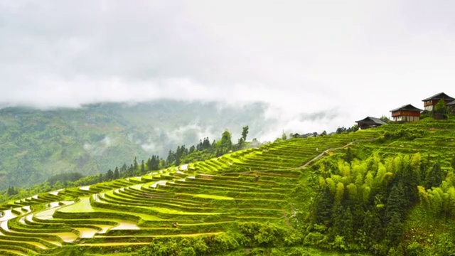 龙脊梯田美景（延时）视频素材