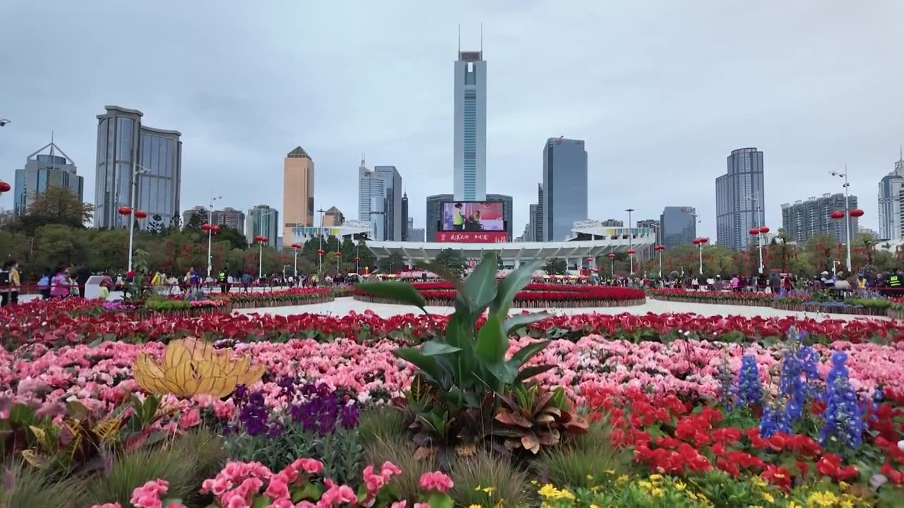 广州春节花市鲜花花海背景视频素材