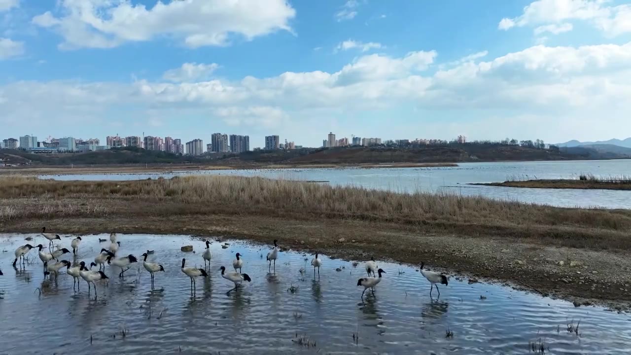 贵州省毕节市威宁县草海景区视频素材