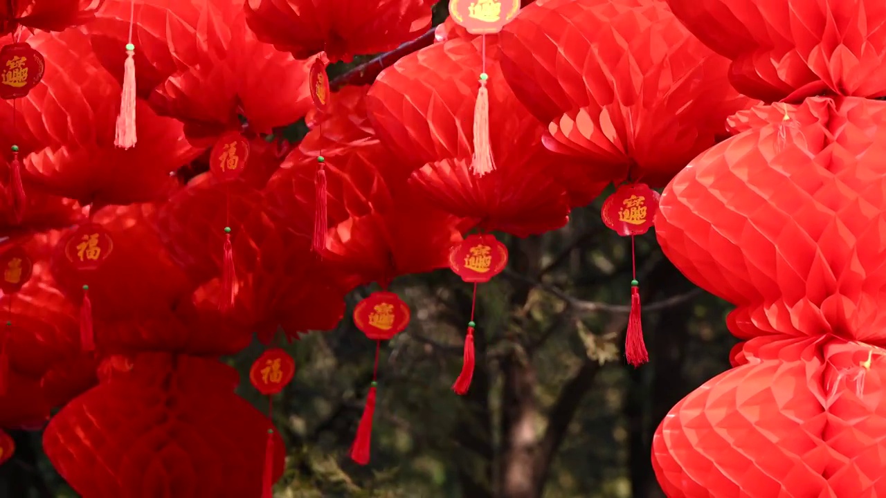 北京地坛春节文化庙会悬挂节日红灯笼视频素材