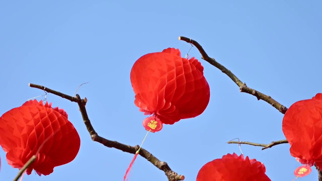 北京地坛春节文化庙会悬挂节日红灯笼视频素材