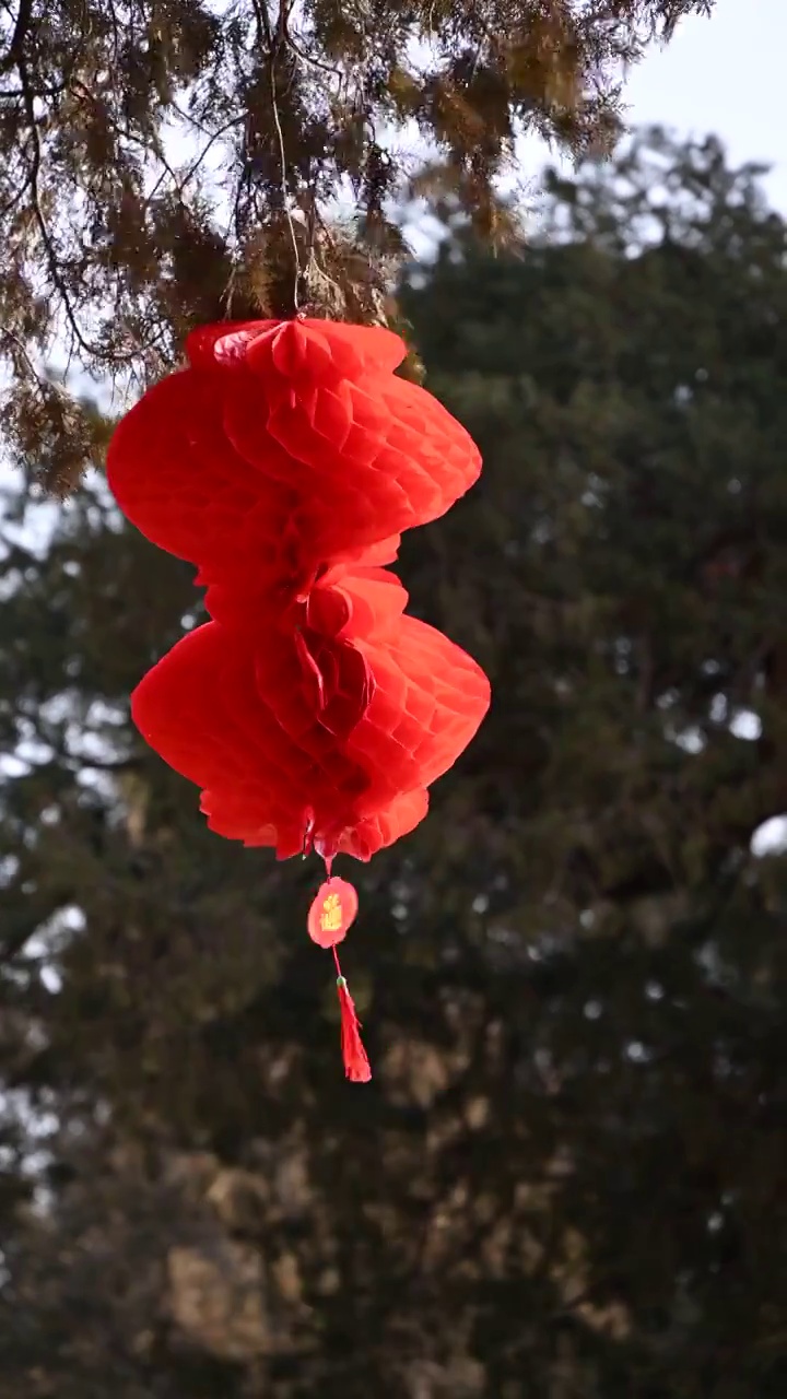 北京地坛春节文化庙会悬挂节日红灯笼视频素材