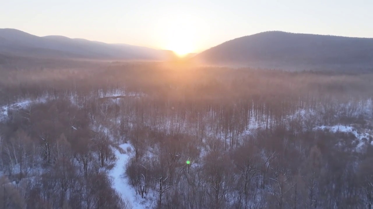 曙光照耀冻雾迷漫的林海雪原视频素材