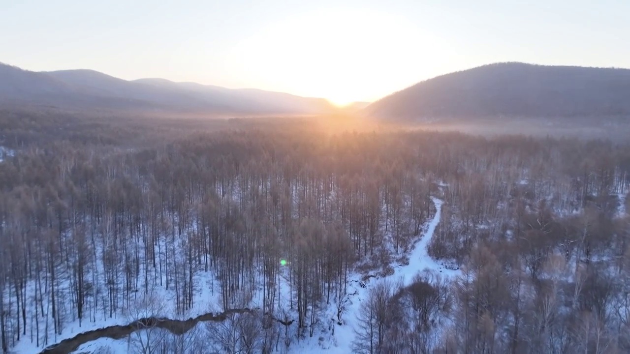 曙光照耀冻雾迷漫的林海雪原视频素材