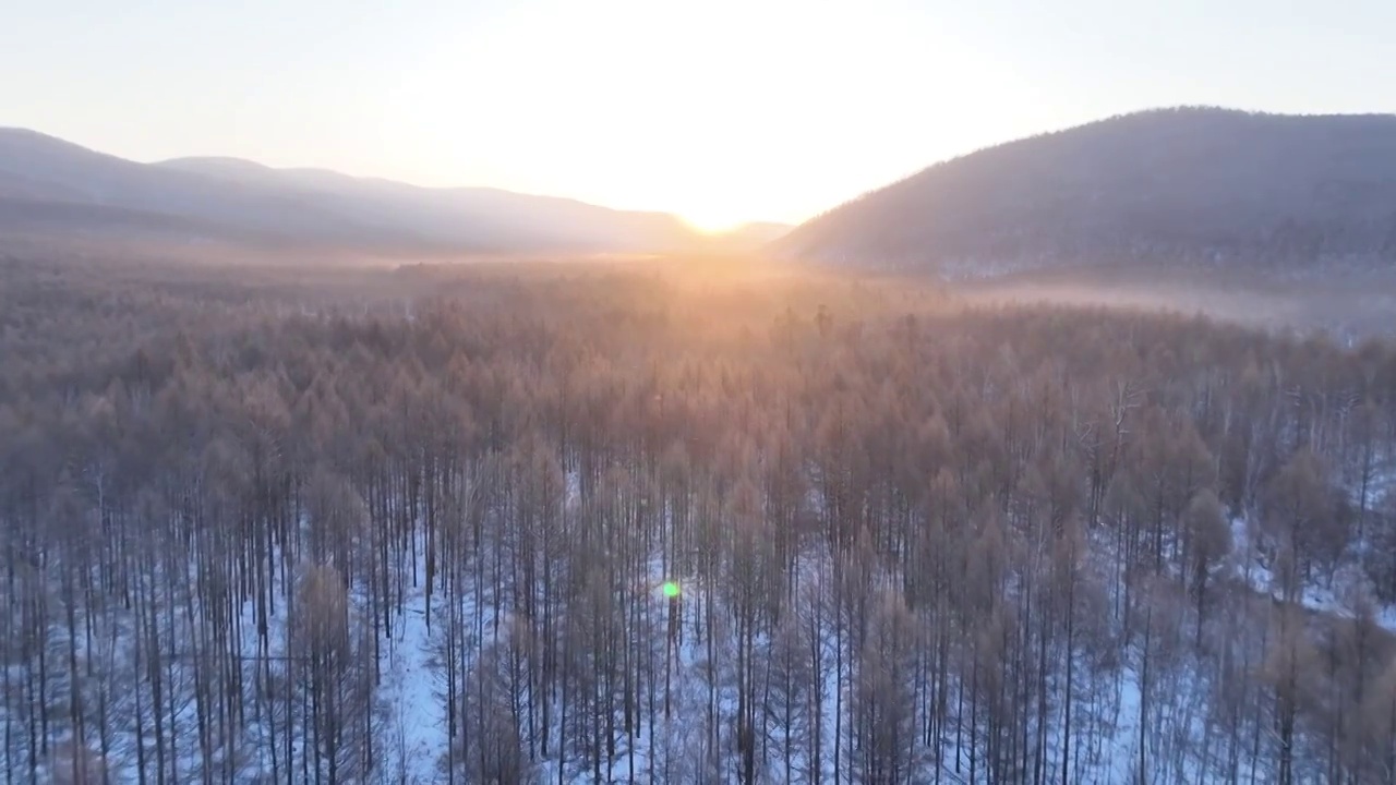 曙光照耀冻雾迷漫的林海雪原视频素材