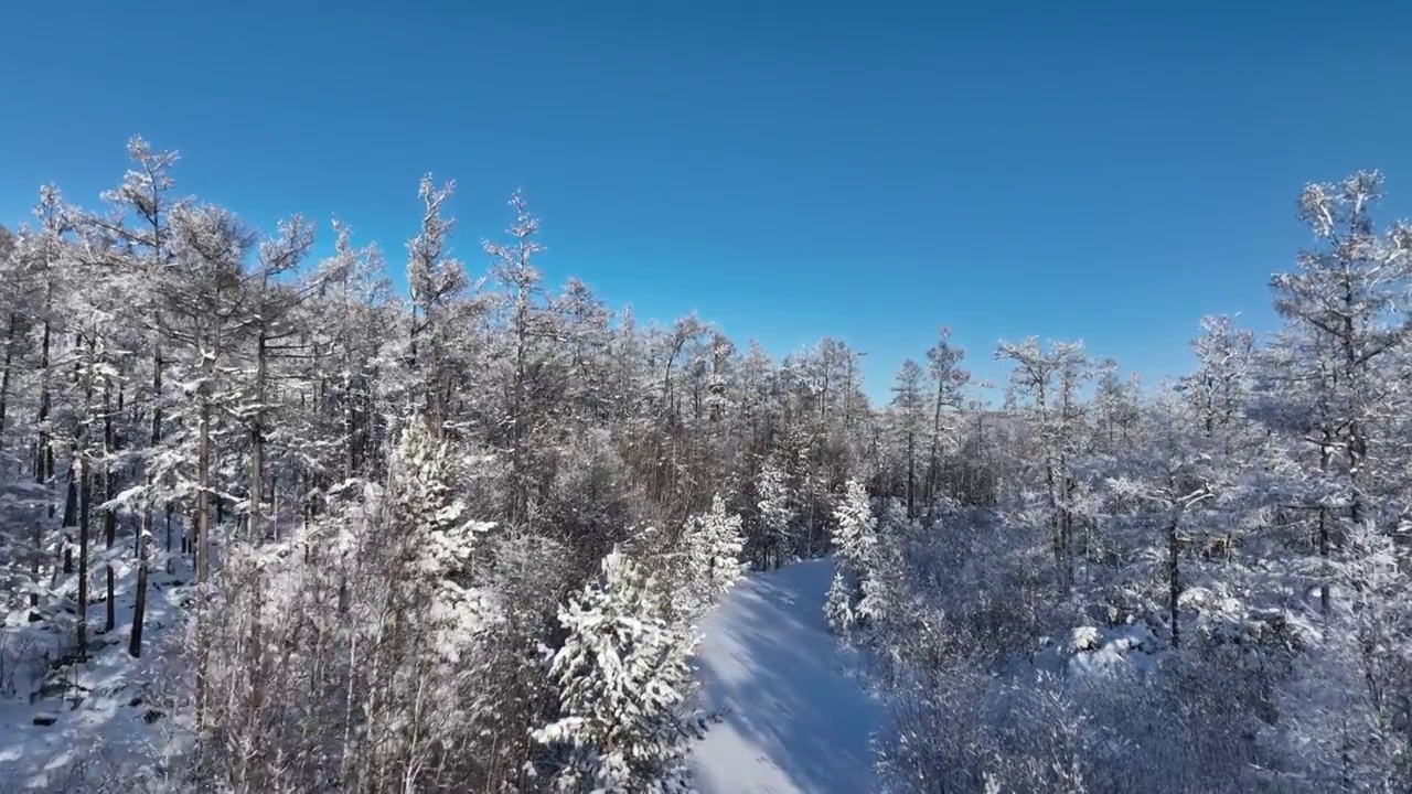 林海雪原雪林和山路视频素材