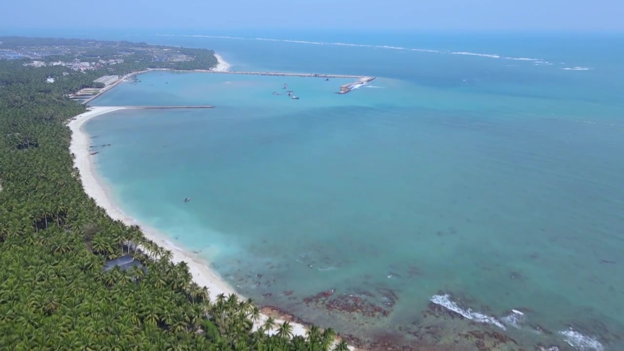 晴好天气下海南琼海博鳌的椰林海岸视频素材