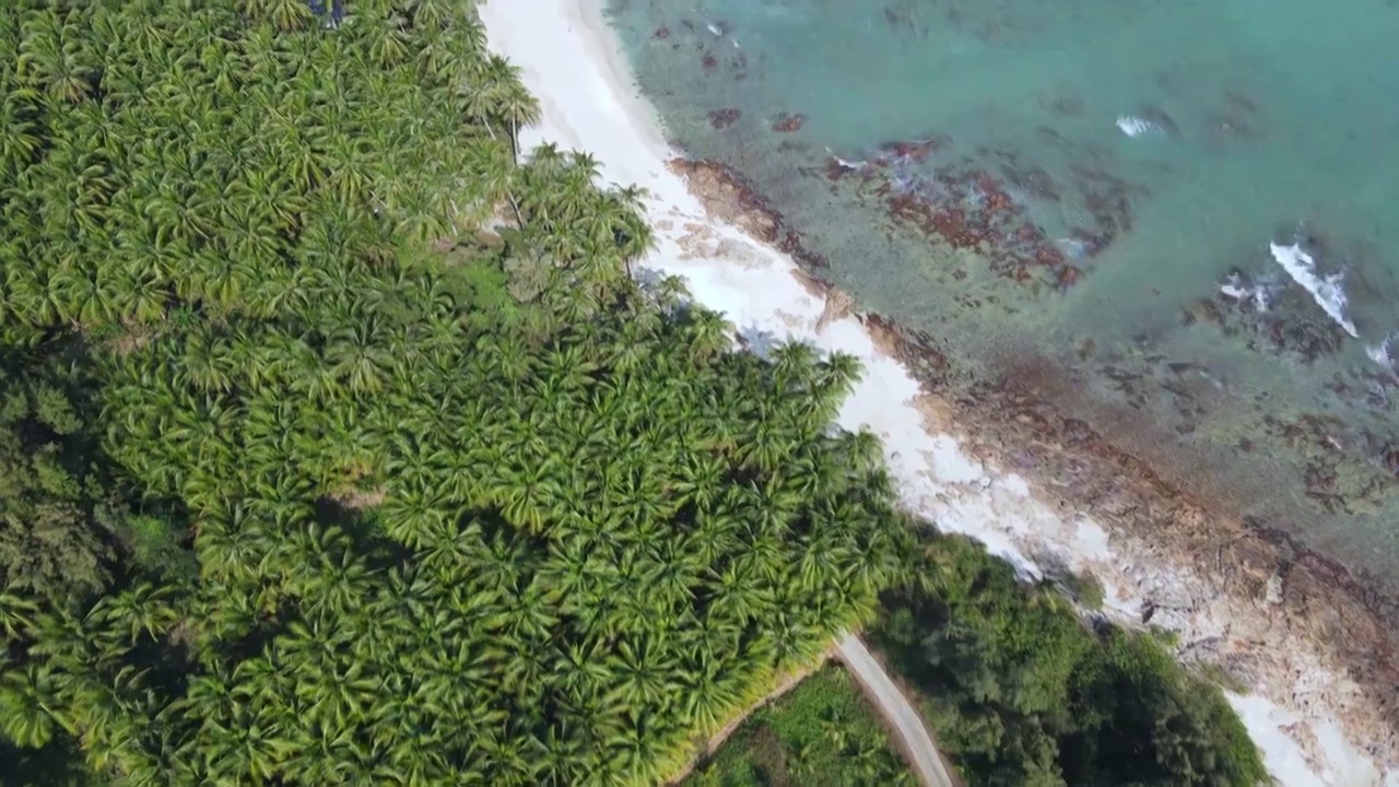 海南琼海博鳌的椰林蔚蓝大海视频素材